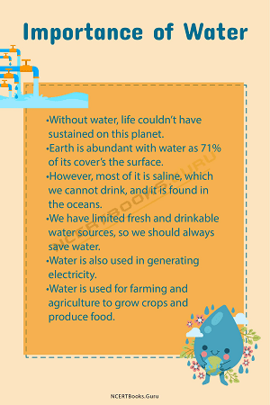 importance of water essay grade 6