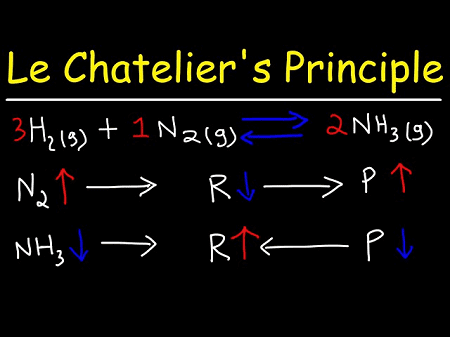 Class 11 Le Chatelier’s principle - Vrindawan Boarding School