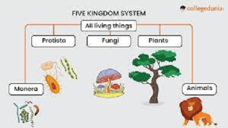 Class 11 Five kingdom classification - Vrindawan Boarding School